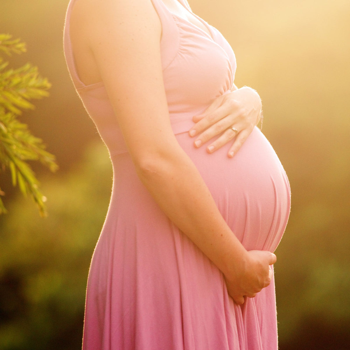 A pregnant woman in a pink dress in warm golden light