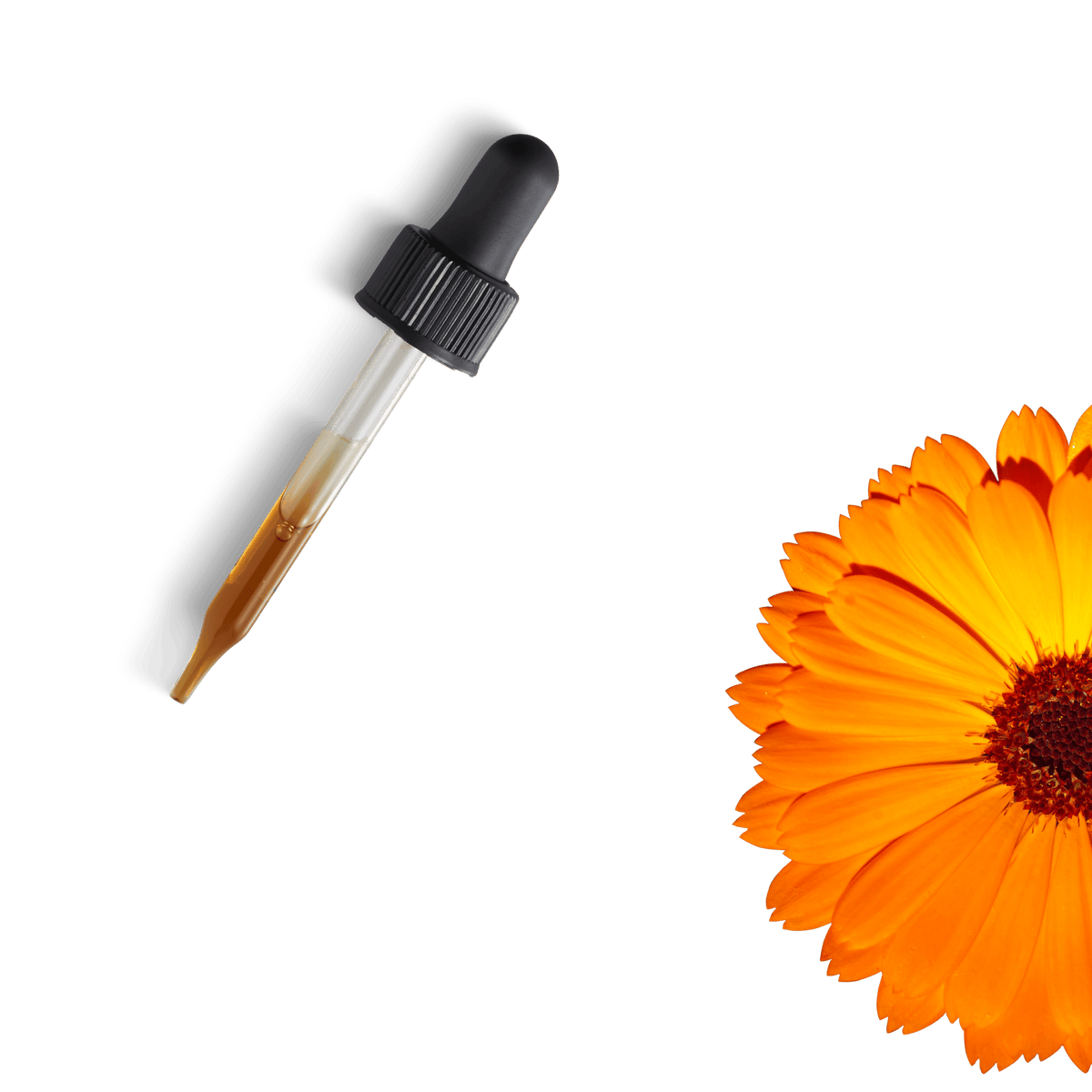 A tincture dropper beside a calendula flower
